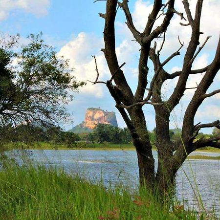 Rho Sigiriya Lake Edge Retreat Kibissa ภายนอก รูปภาพ