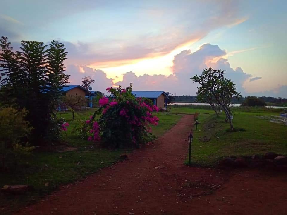 Rho Sigiriya Lake Edge Retreat Kibissa ภายนอก รูปภาพ