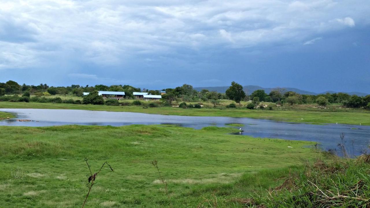 Rho Sigiriya Lake Edge Retreat Kibissa ภายนอก รูปภาพ