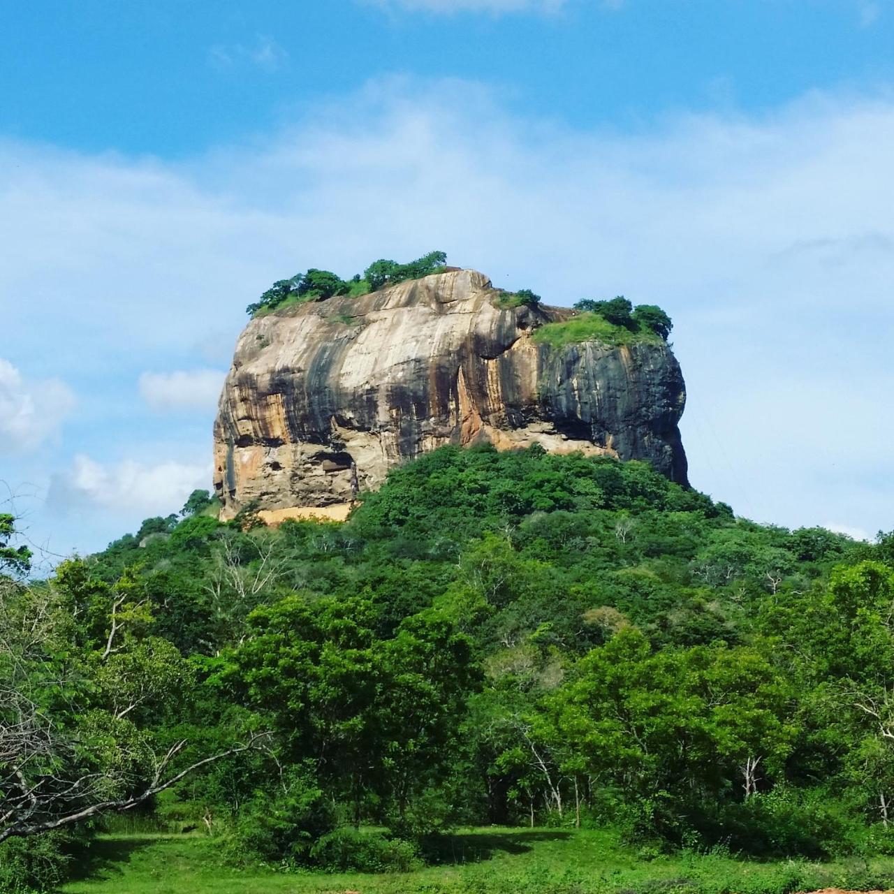 Rho Sigiriya Lake Edge Retreat Kibissa ภายนอก รูปภาพ