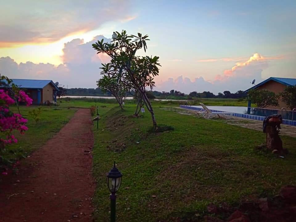 Rho Sigiriya Lake Edge Retreat Kibissa ภายนอก รูปภาพ