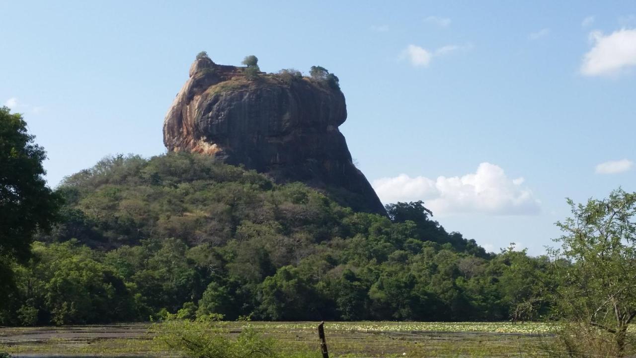 Rho Sigiriya Lake Edge Retreat Kibissa ภายนอก รูปภาพ