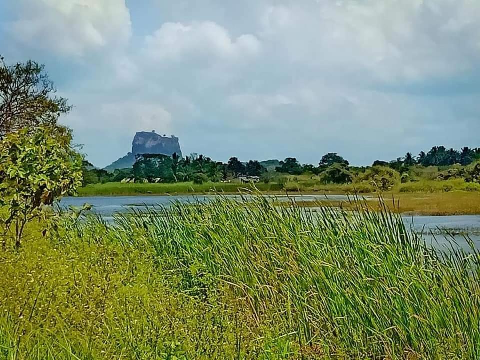 Rho Sigiriya Lake Edge Retreat Kibissa ภายนอก รูปภาพ