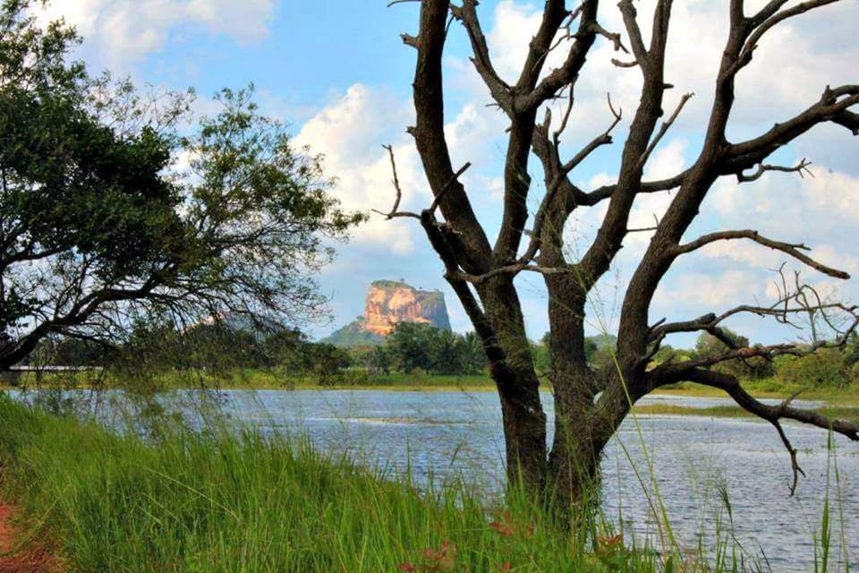 Rho Sigiriya Lake Edge Retreat Kibissa ภายนอก รูปภาพ