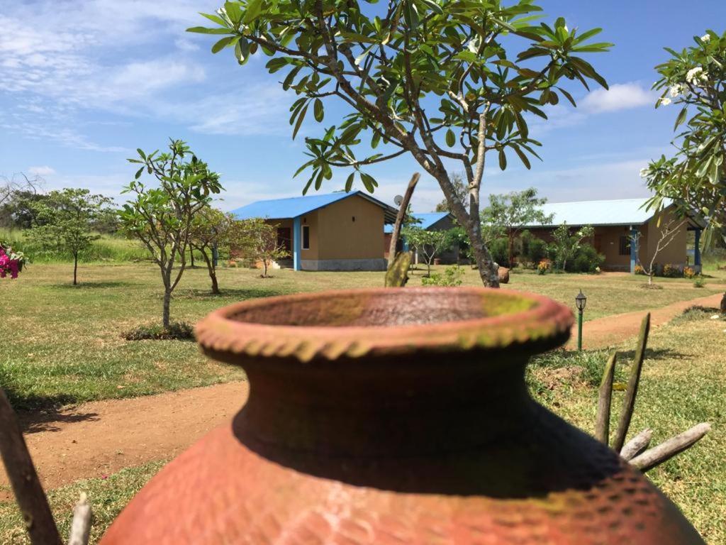 Rho Sigiriya Lake Edge Retreat Kibissa ภายนอก รูปภาพ