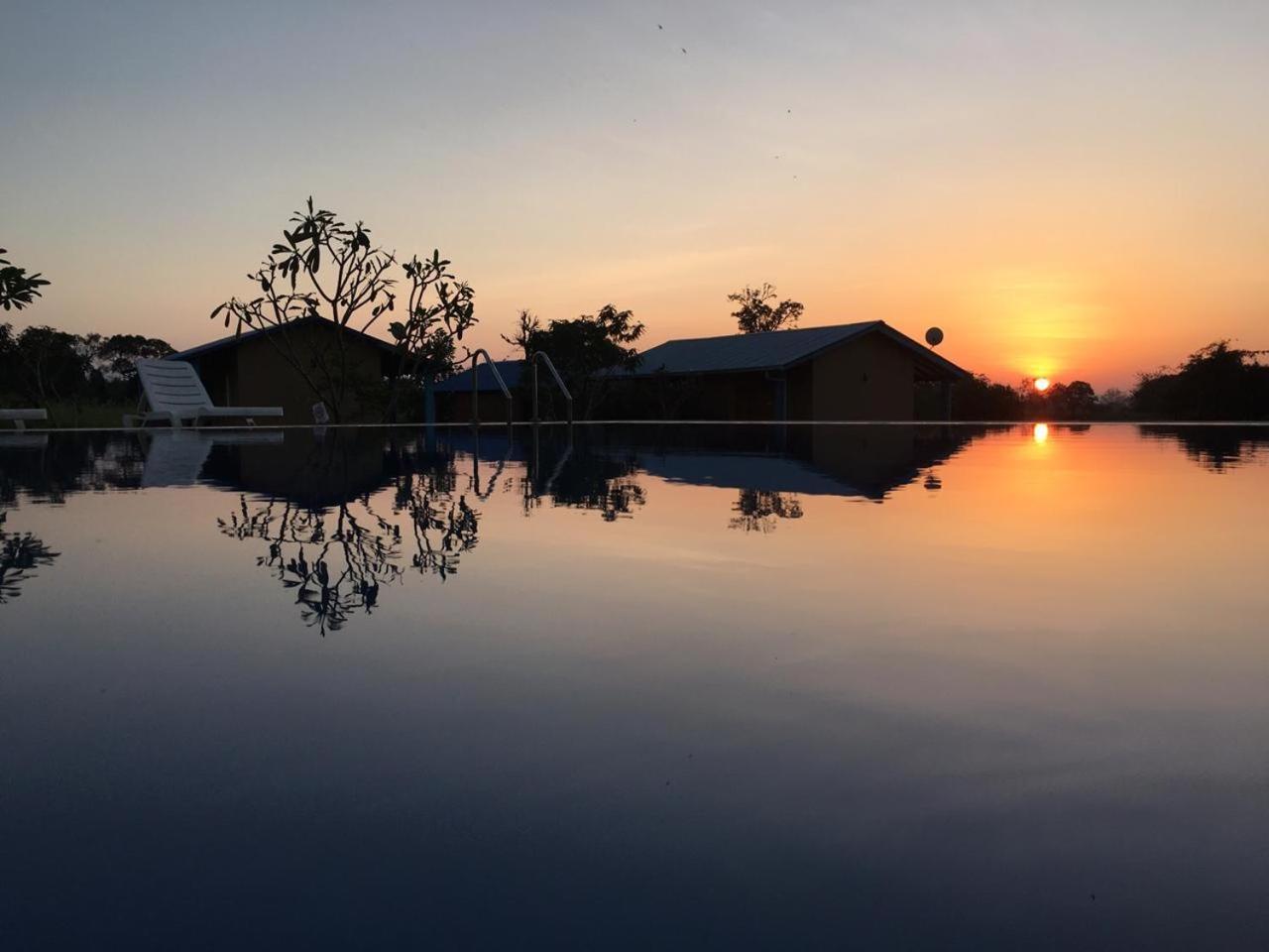 Rho Sigiriya Lake Edge Retreat Kibissa ภายนอก รูปภาพ